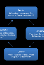 The Lectio Divina Steps